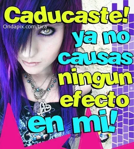 Fotos Xulas