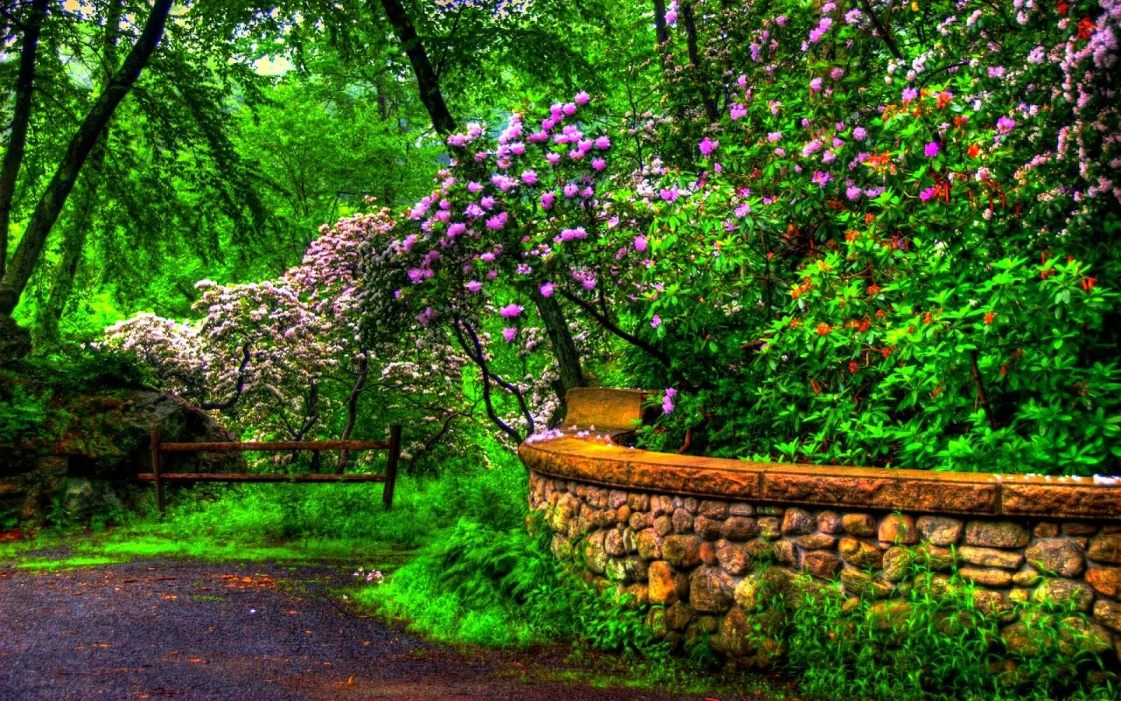 fotos+bonitas+de+paisajes +animales+peces+flores+y+estaciones+del+a%C3%B1o+%2826%29.jpg