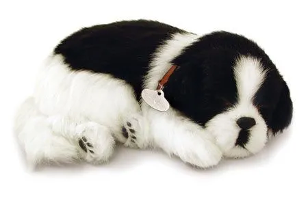 Imágenes bellas en general: Imágenes Perros Bonitos Imágenes bellas en general: Imágenes Perros Bonitos