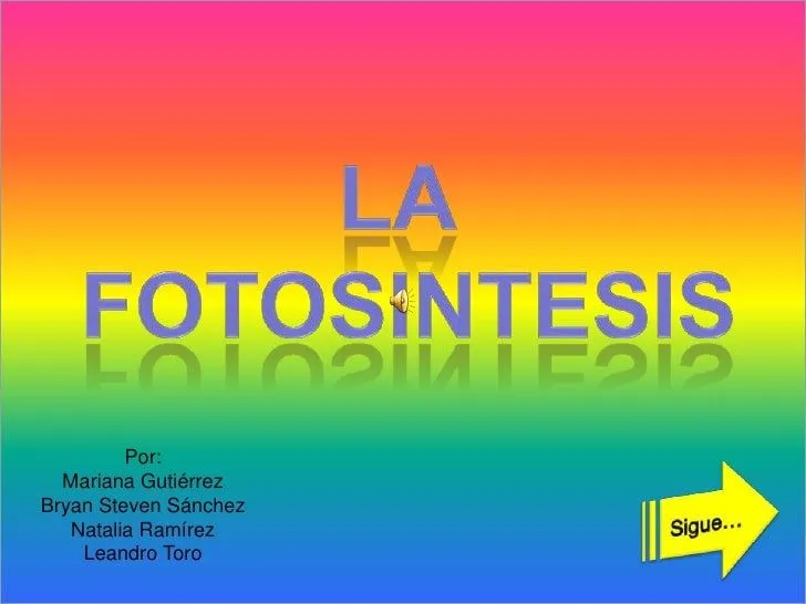 la fotosintesis
