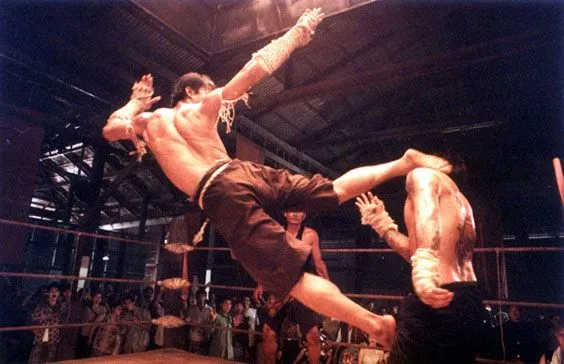Fraces combate (Kick boxing, Muay Thai.......) - Taringa!
