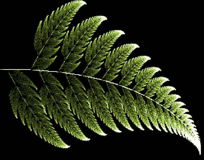 fractal.gif