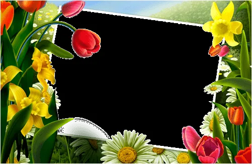 Frames flores png - Imagui