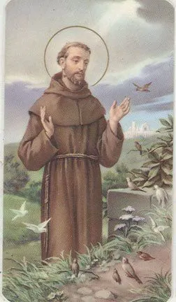 Francisco de Asís y Francisco de Roma Desde que el obispo de Roma electo, y por eso Papa, asum… | San francisco de asis, Oracion de san francisco, Francisco de asis Francisco de Asís y Francisco de Roma Desde que el obispo de Roma electo, y por eso Papa, asum… | San francisco de asis, Oracion de san francisco, Francisco de asis