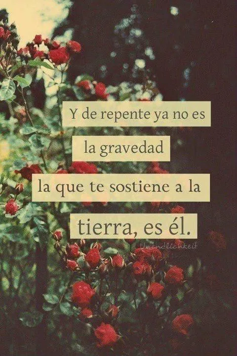 frase amor él flores repente tierra sostiene gravedad erhylove frase amor él flores repente tierra sostiene gravedad erhylove