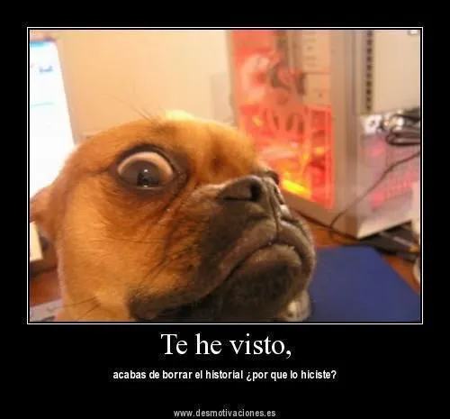 Frase graciosas de animales on Pinterest | Animales, Gatos and Frases Frase graciosas de animales on Pinterest | Animales, Gatos and Frases