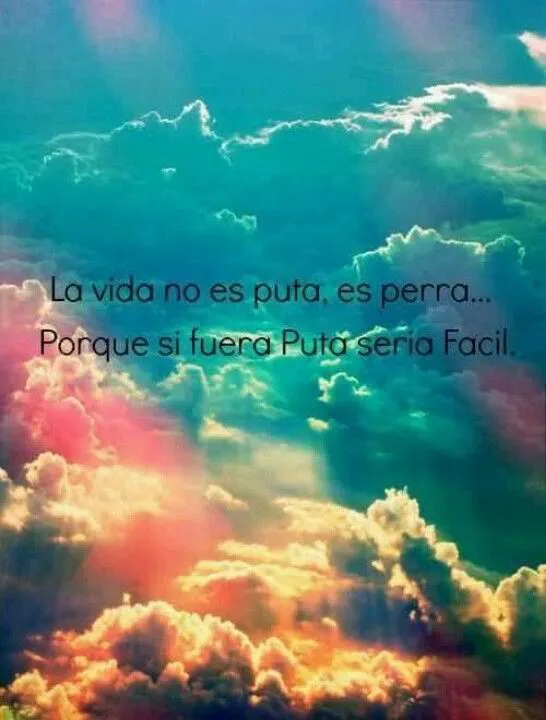 Frase grosera de la vida | Frases Irreverentes | Pinterest | Funny ... Frase grosera de la vida | Frases Irreverentes | Pinterest | Funny ...