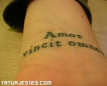 tatuaje-frase-en-latin.jpg