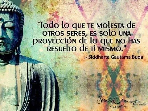 Frase matona | frases matonas | Pinterest