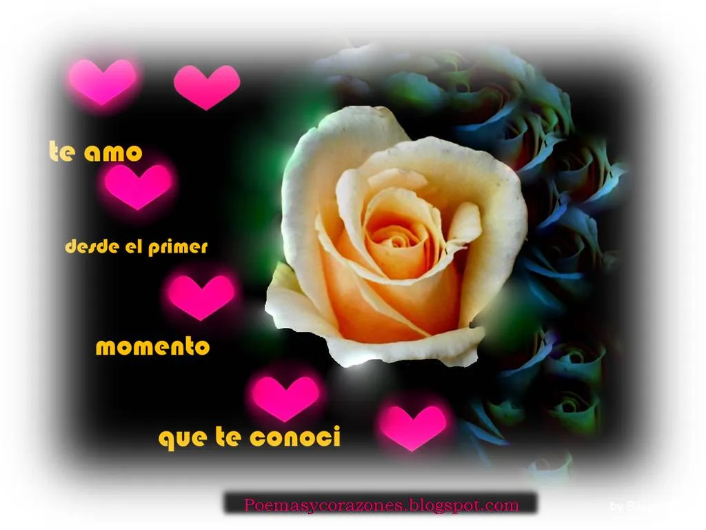 Frase de palabras tiernas - Una noche maravillosa | Poemas y Corazones Frase de palabras tiernas - Una noche maravillosa | Poemas y Corazones