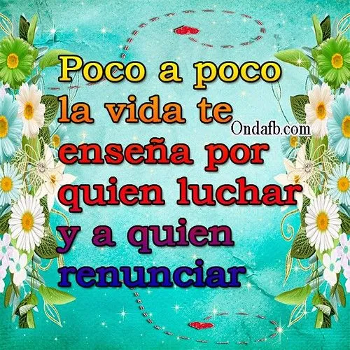 Frase de reflexión con fondo de flores para compartir | Flickr ... Frase de reflexión con fondo de flores para compartir | Flickr ...
