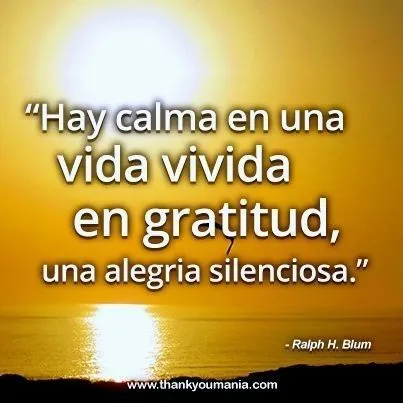 Frases de Agradecimiento | tablero personal | Pinterest | Frases