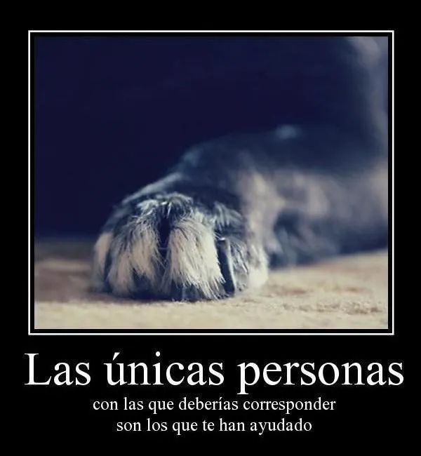 Frases de agradesimiento - Imagui