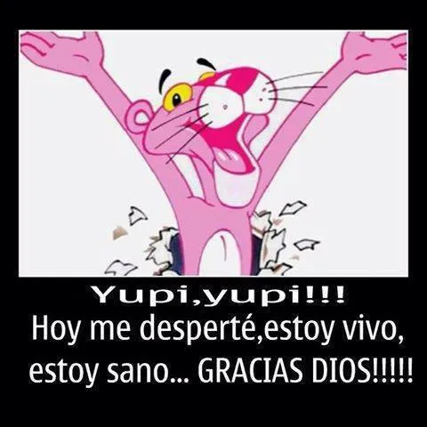 Frases De Alegria Frases De Felicidad MEMES Pictures Frases De Alegria Frases De Felicidad MEMES Pictures