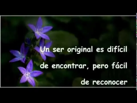 FRASES PARA EL ALMA.mpg - YouTube