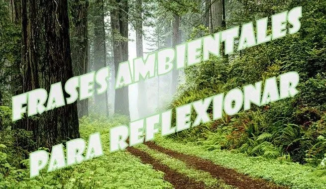 Frases ambientales de reflexión para despedir el 2014 y empezar el ... Frases ambientales de reflexión para despedir el 2014 y empezar el ...