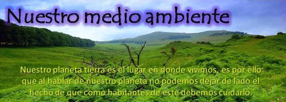 frases del dia | Medio Ambiente