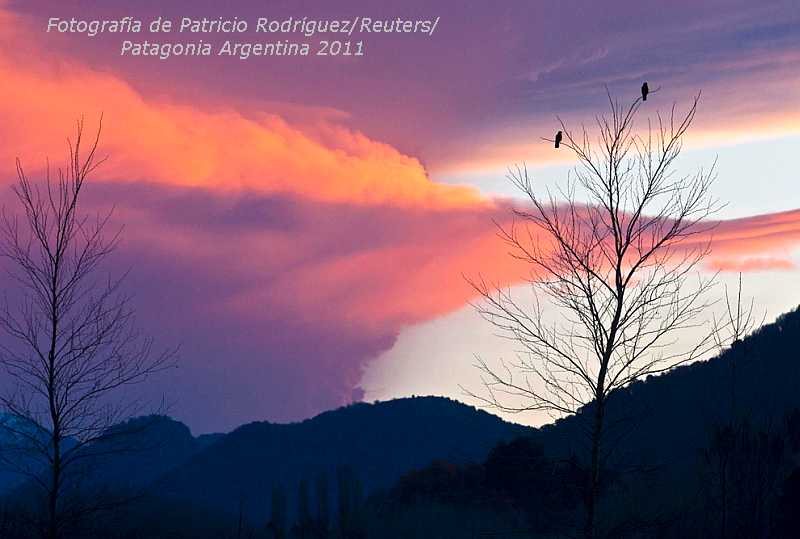 Frases sobre el medio ambiente - Imagui