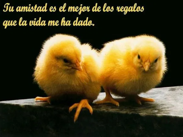 frases de amistad (@AmistadFrases) | Twitter