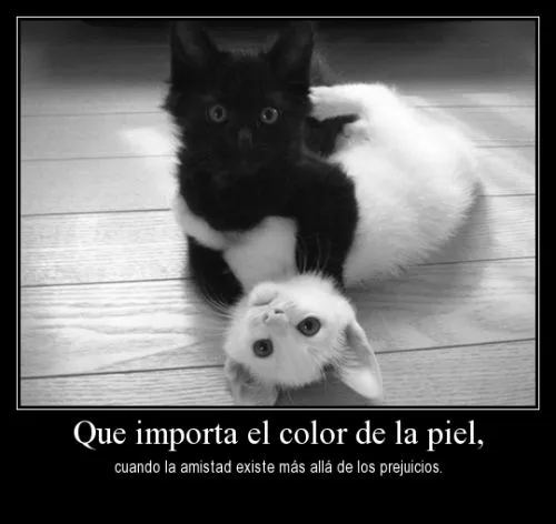 Frases de Amistad para Compartir en Facebook | Imagenes Tiernas ... Frases de Amistad para Compartir en Facebook | Imagenes Tiernas ...