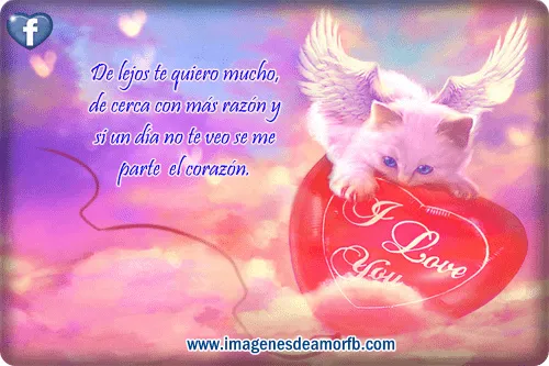 Animacio con frse de amor - Imagui