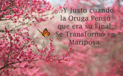 FRASES DE AMOR BONITAS | Página 43