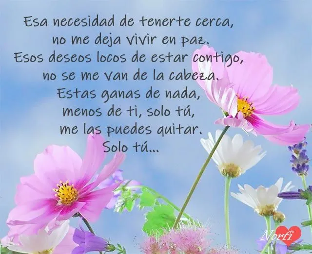 Frases de amor bonitas y románticas para dedicar Frases de amor bonitas y románticas para dedicar