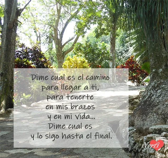 Frases de amor bonitas y románticas para dedicar Frases de amor bonitas y románticas para dedicar