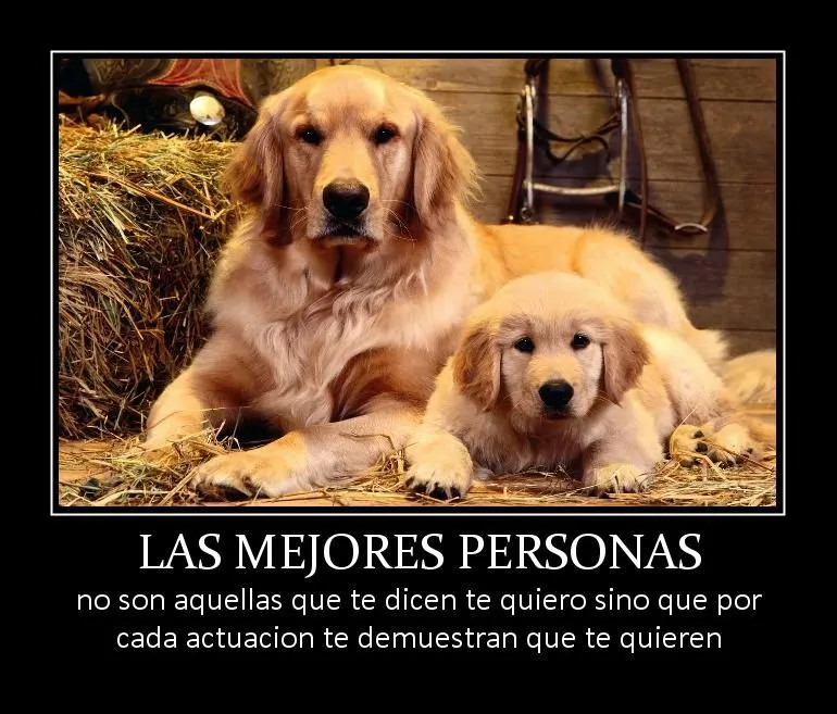 frases de amor para chicas | Frases de amor cortas