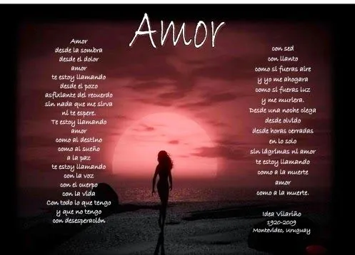 Frases de amor para conquistar a mi esposo | Frases de amor