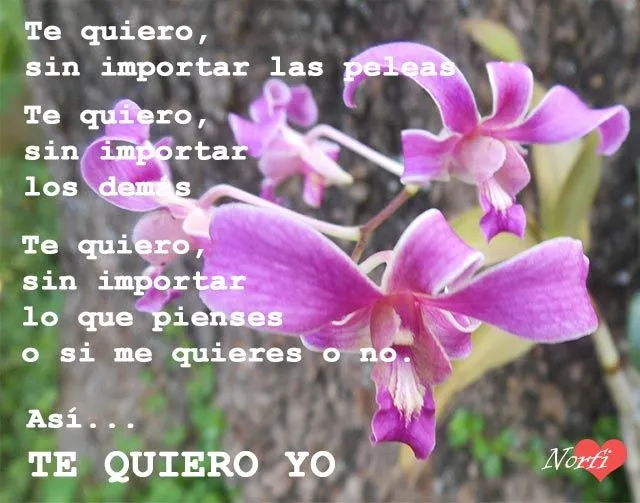 Frases de amor para dedicar a mi novia, novio o relación