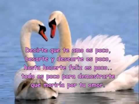 Frases de amor para dedicar a tu pareja Enamorandote con ternura ... Frases de amor para dedicar a tu pareja Enamorandote con ternura ...