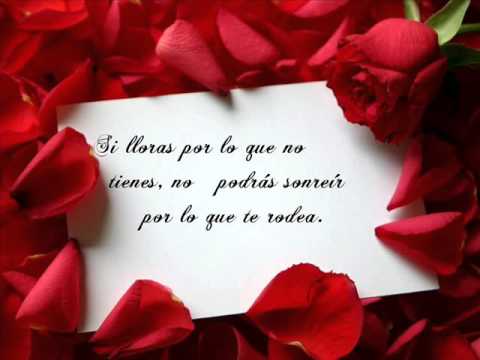 Frases de amor, desamor, para reflexionar - YouTube