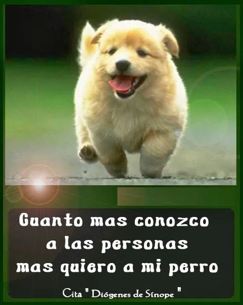 Frases de amor: Frases de amor a mi perro