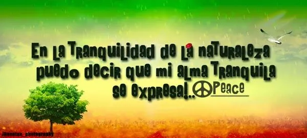 Frases de amor al reggae | Frases de amor