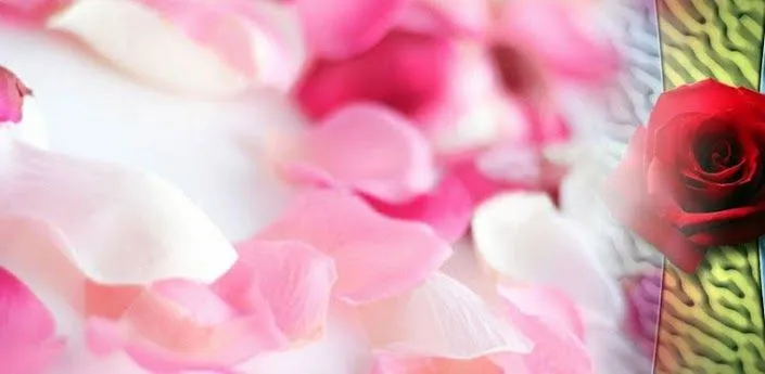Frases de Amor San Valentín - Android Apps on Google Play Frases de Amor San Valentín - Android Apps on Google Play