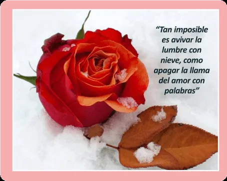 Frases de amor, versos de amor, poemas de amor: DISTANCIA Frases de amor, versos de amor, poemas de amor: DISTANCIA