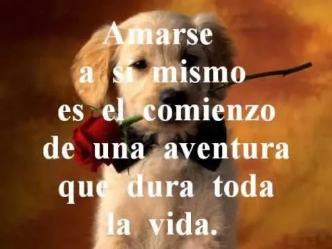 Frases de amor ✿◦.¸¸.◦♥.wmv - YouTube