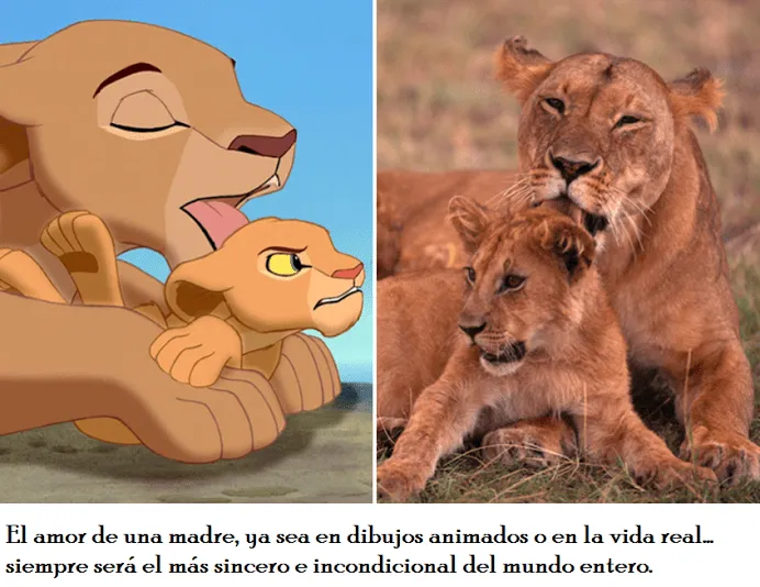 frases de amor | www.CompraJuguetesOnline.com