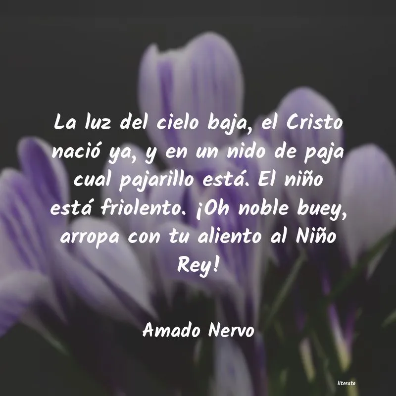 Frases para un angelito que esta en el cielo - Literato Frases para un angelito que esta en el cielo - Literato