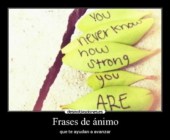 Frases de ánimo | Desmotivaciones