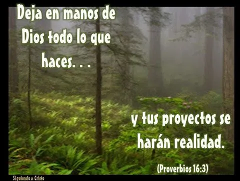 FRASES DE LA BIBLIA - desarrollo personal, superación y autoayuda FRASES DE LA BIBLIA - desarrollo personal, superación y autoayuda