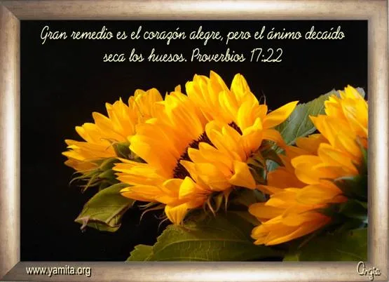 El ánimo decaído seca los huesos - Facebook : Imagenes Cristianas ... El ánimo decaído seca los huesos - Facebook : Imagenes Cristianas ...