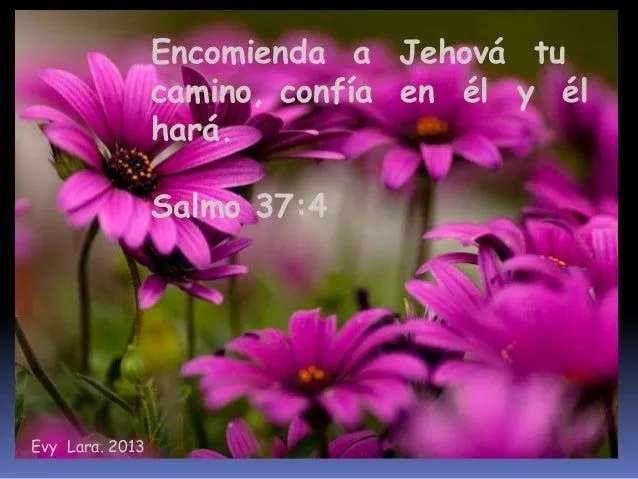 frases-biblicas-evy-lara-2013- ...