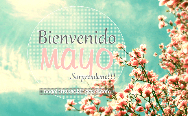 No Solo Frases: Bienvenido Mayo... Sorprendeme!!! No Solo Frases: Bienvenido Mayo... Sorprendeme!!!