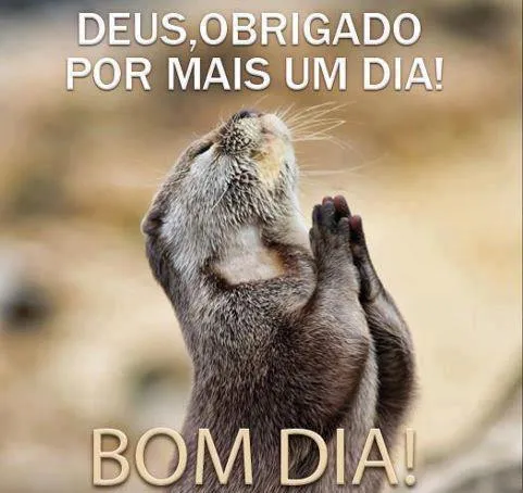 Frases de bom dia engraçadas - SonhosBR