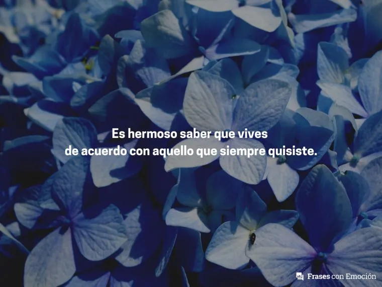 Frases Bonitas (6) - Frases con Emoción