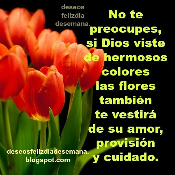 Frases Bonitas Cristianas Buenos Deseos en este día | Deseos Feliz ... Frases Bonitas Cristianas Buenos Deseos en este día | Deseos Feliz ...