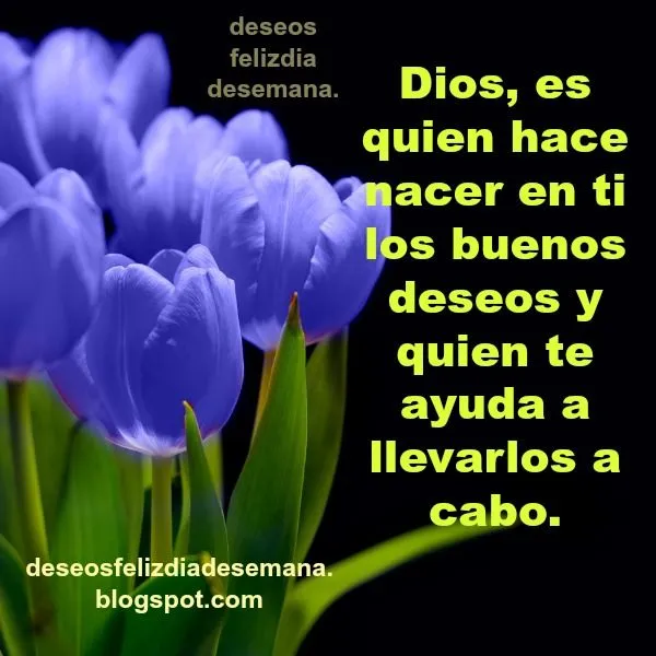 Frases Bonitas Cristianas Buenos Deseos en este día | Deseos Feliz ...