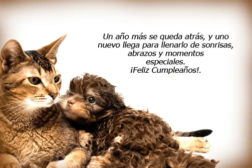 Frases Bonitas de Cumpleaños para Compartir - ツ Tarjetas y ...